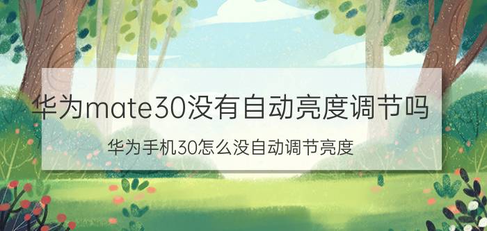 华为mate30没有自动亮度调节吗 华为手机30怎么没自动调节亮度？